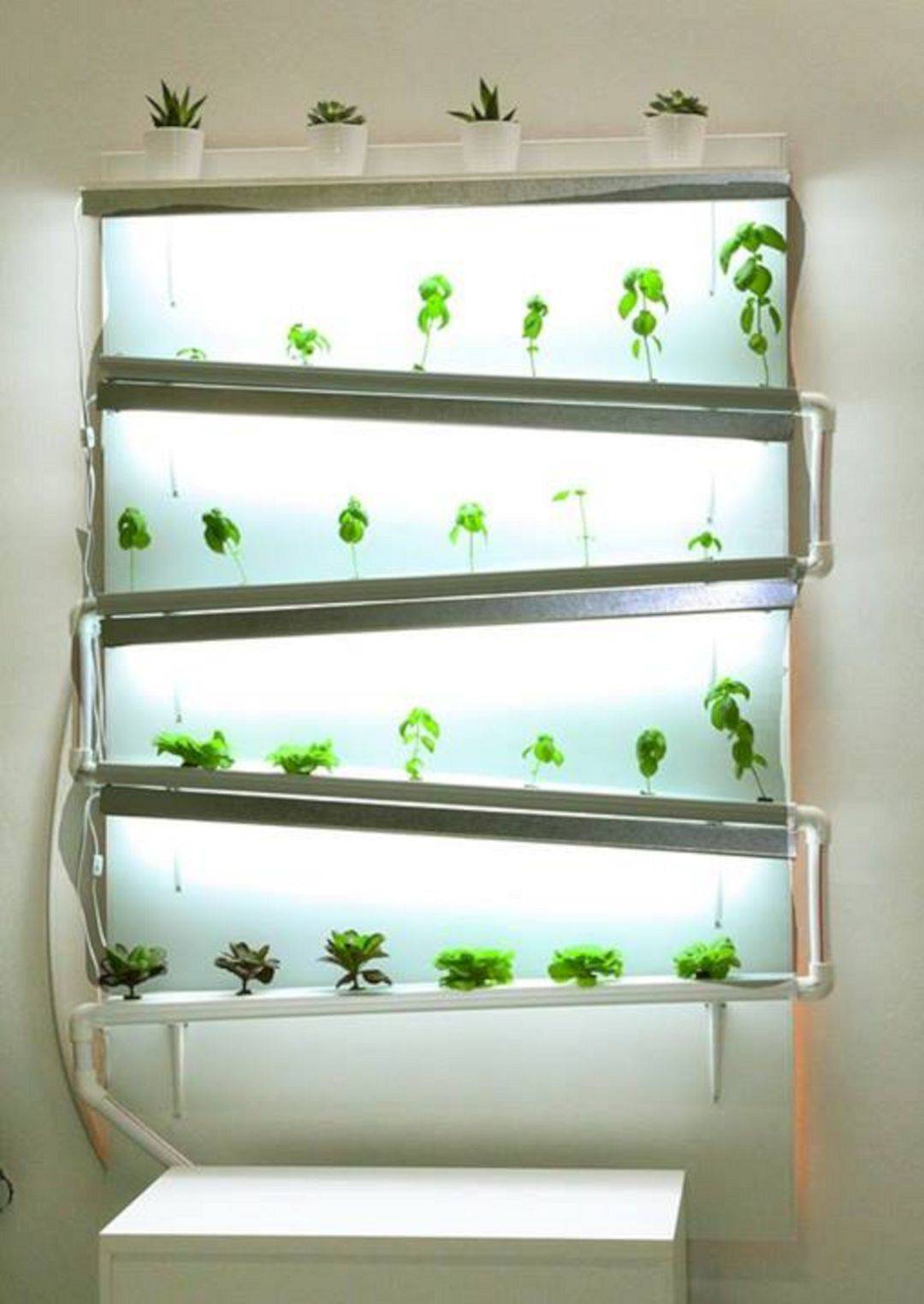 Hydroponic Gardening