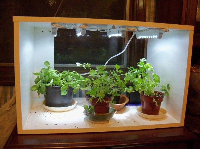 Easy And Pretty Diy Indoor Herb Garden Ideas