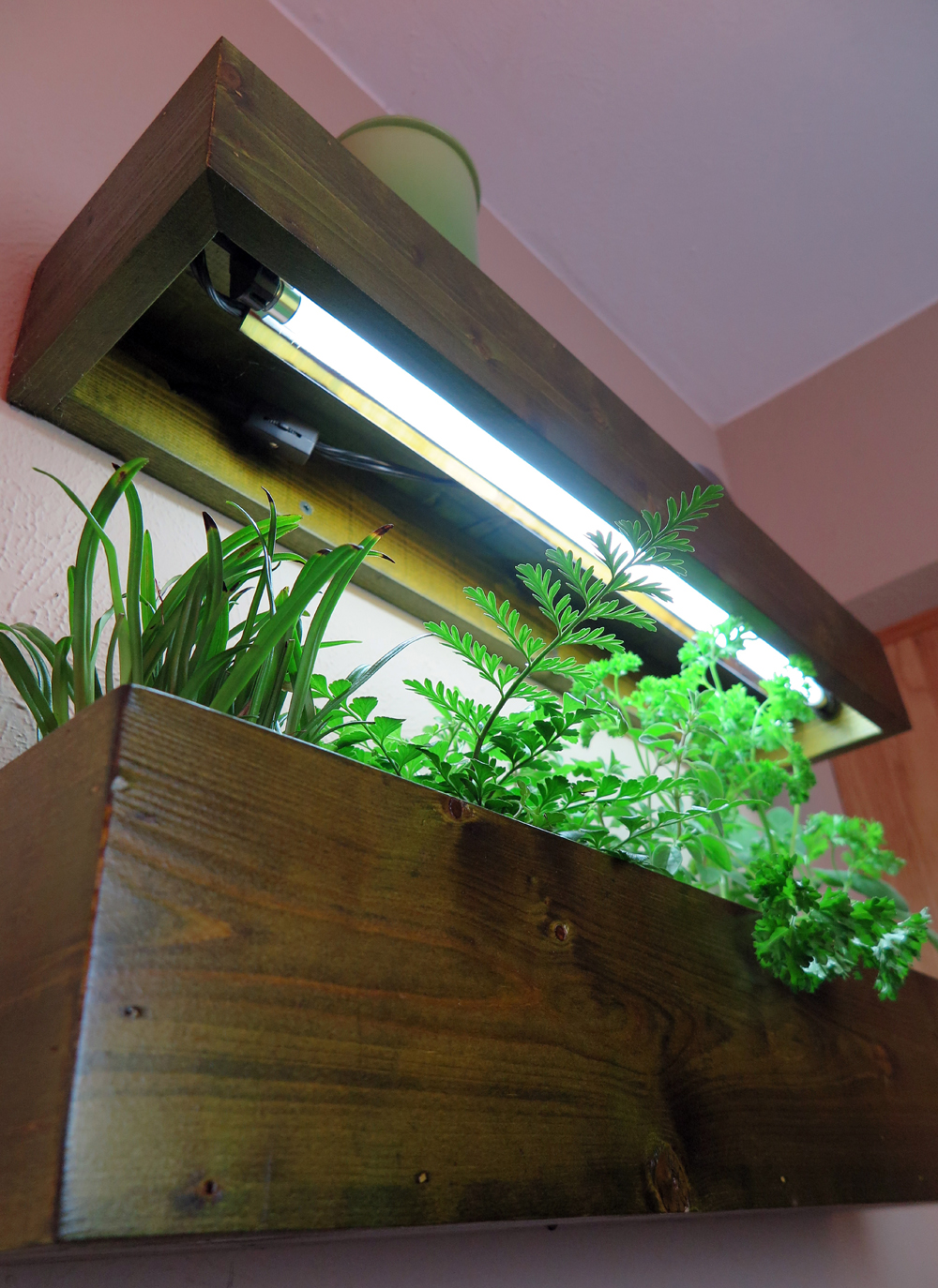 Best Indoor Herb Garden Lights Compareget