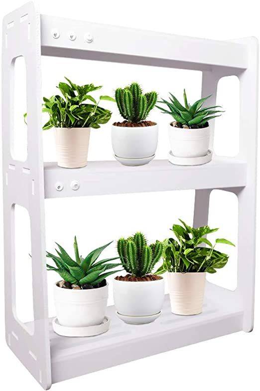 Especias Naturales Cultivadas