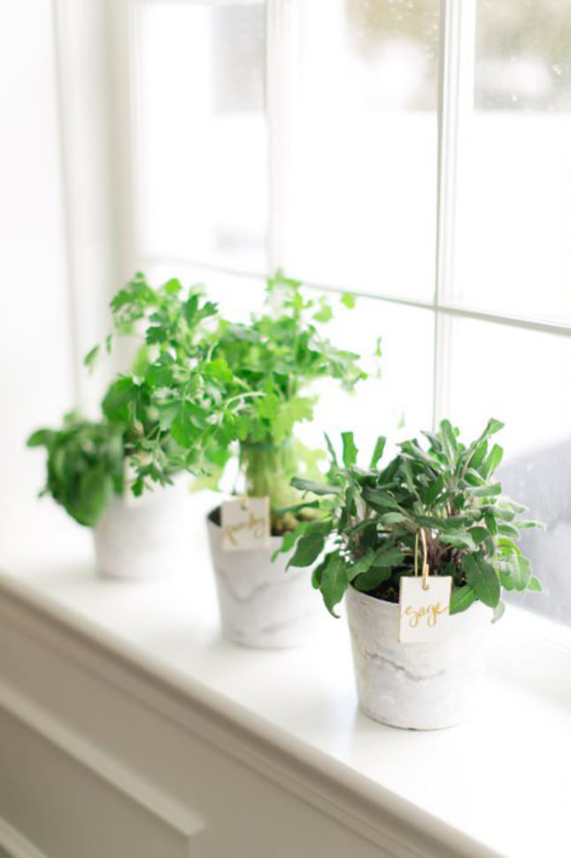 Indoor Herb Garden Artificial Light