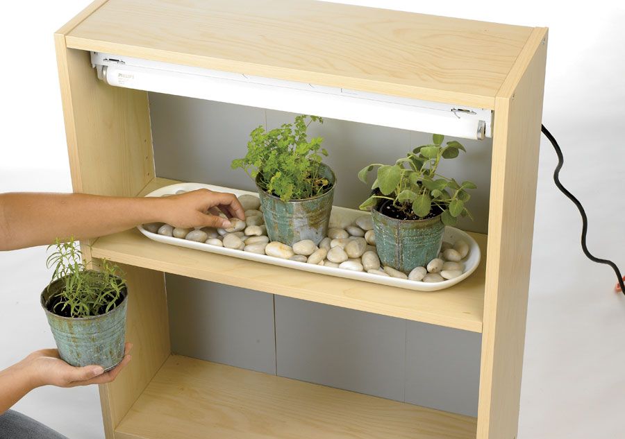Indoor Herb Garden