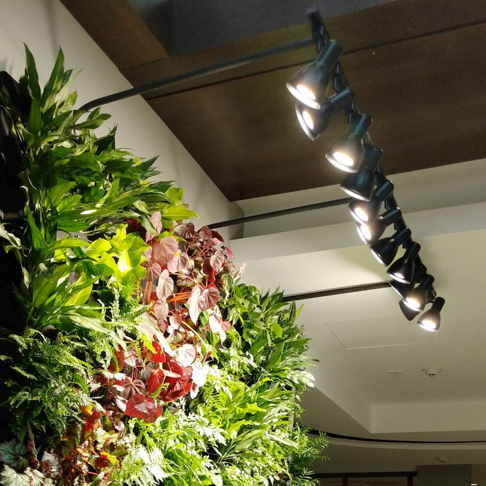 Grow Lights Home And Garden Designs