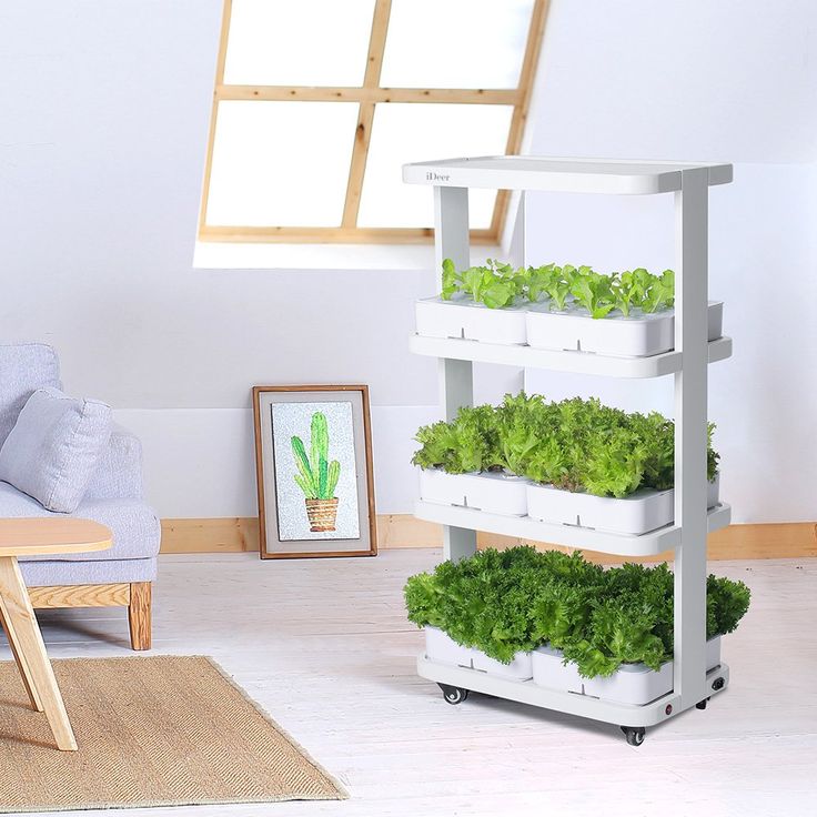 Kitchen Grow Light Shelves