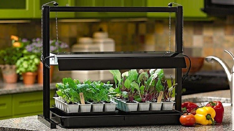 Outdoor And Garden Ideas