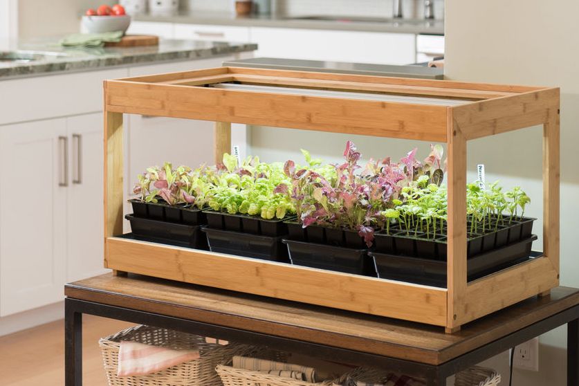 Vertical Grow Lights