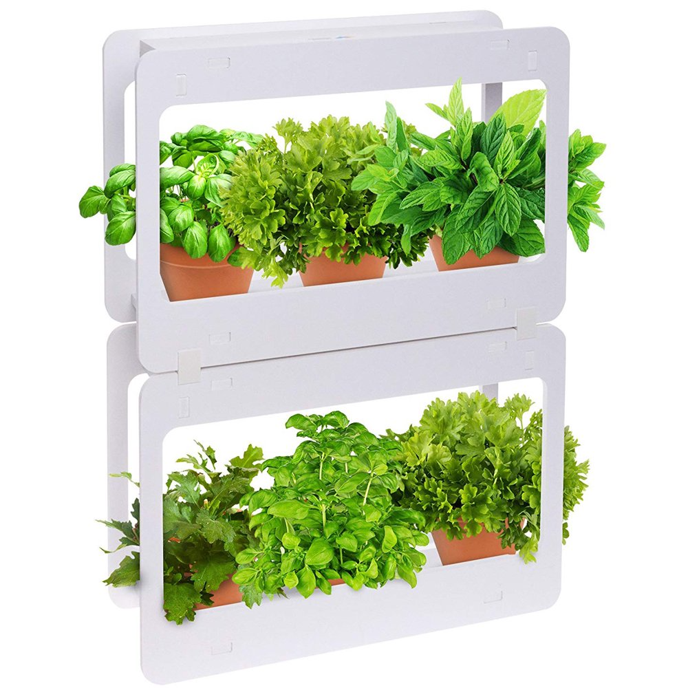 21 Indoor Vegetable Garden Kit Ideas You Cannot Miss SharonSable