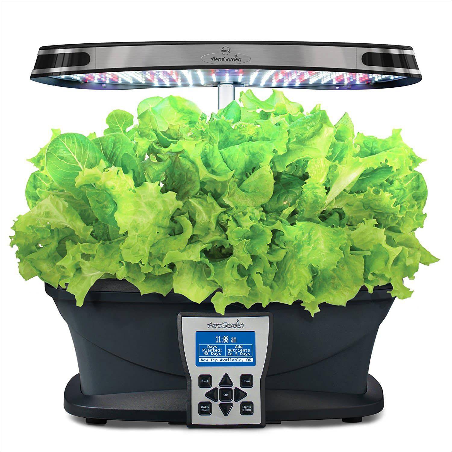 Indoor Hydroponic Gardening