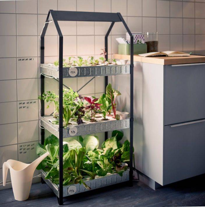 A Hydroponic Indoor Gardening Kit