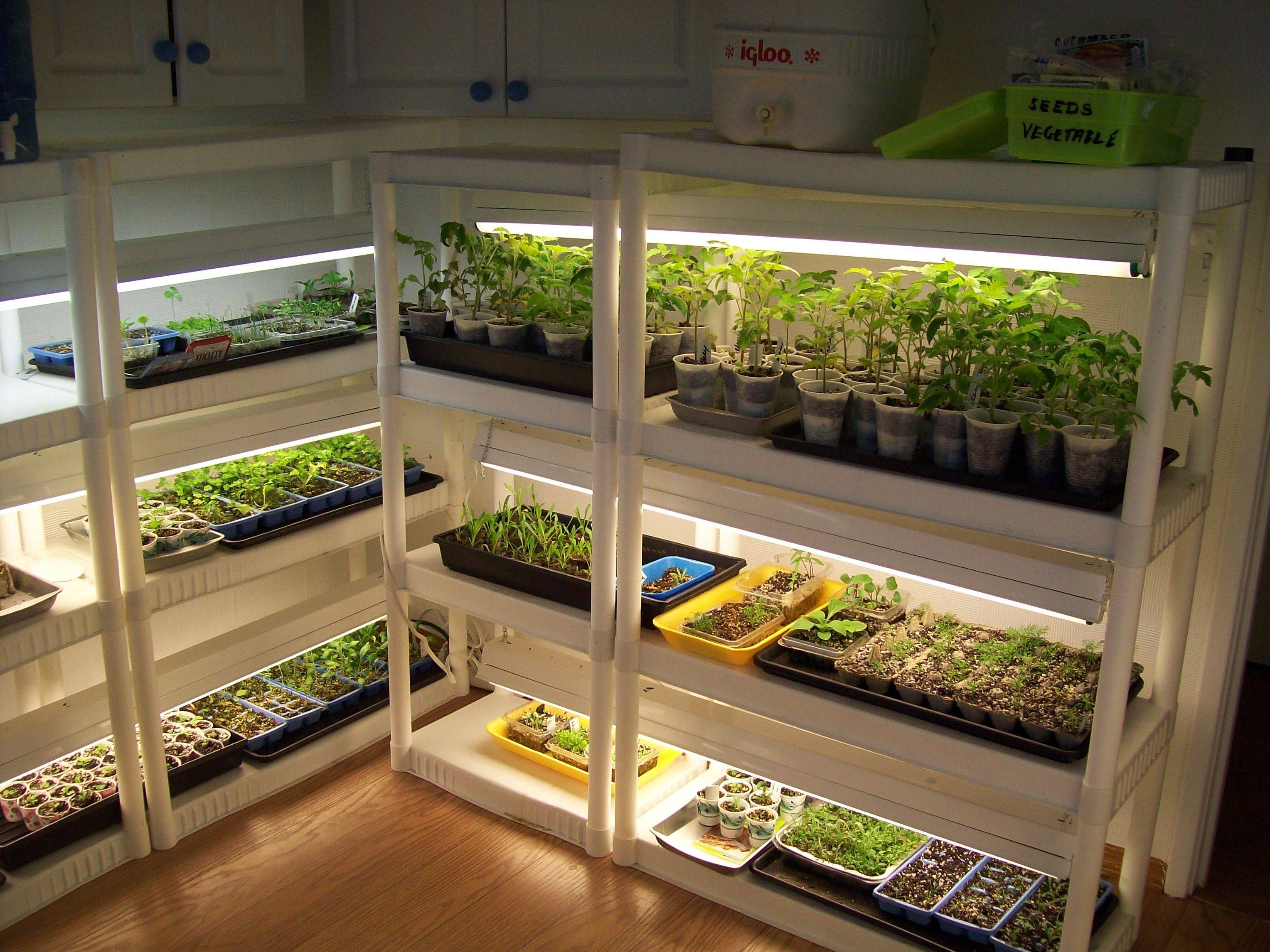Microgreen Production