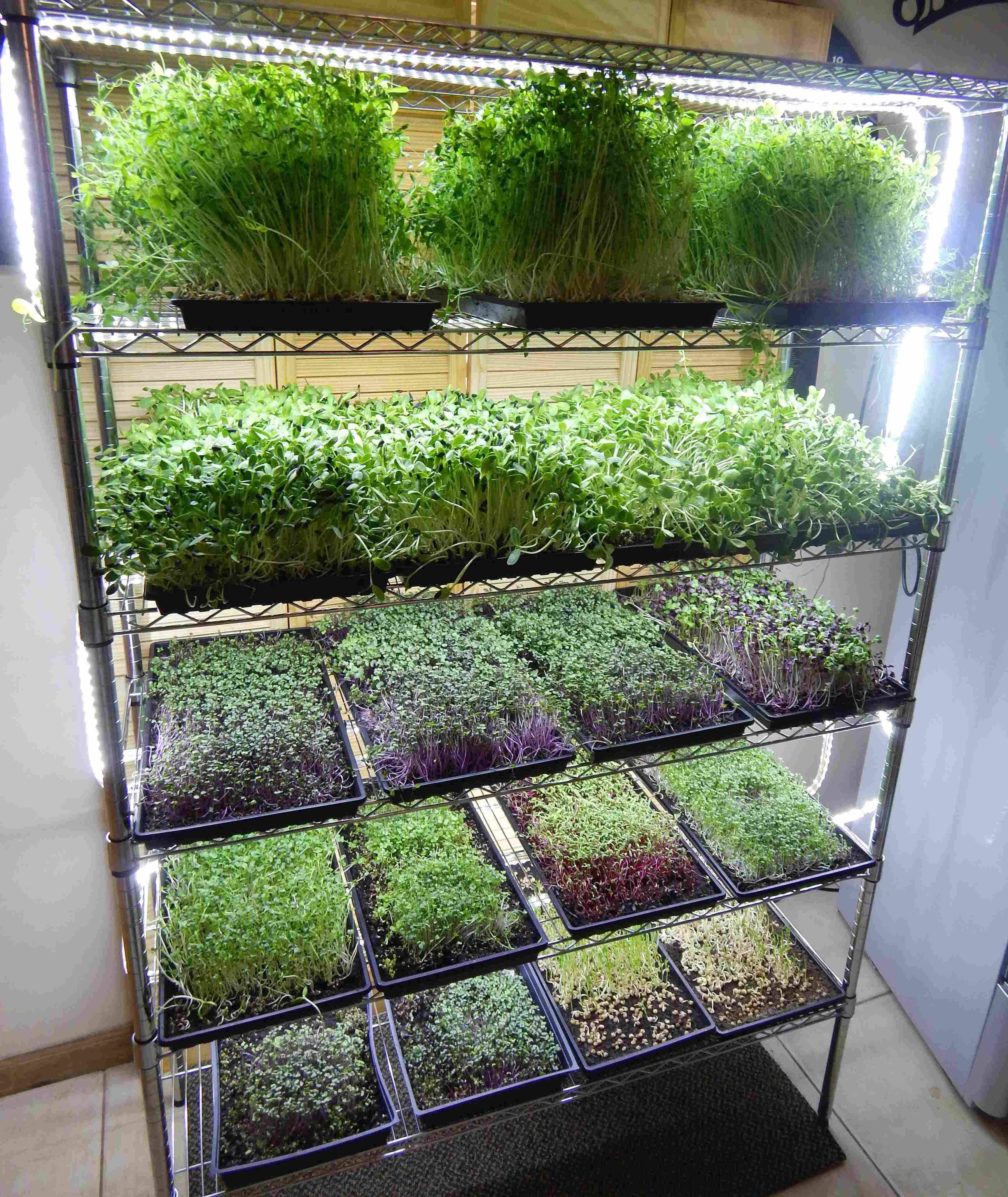 Diy Living Walls Kits