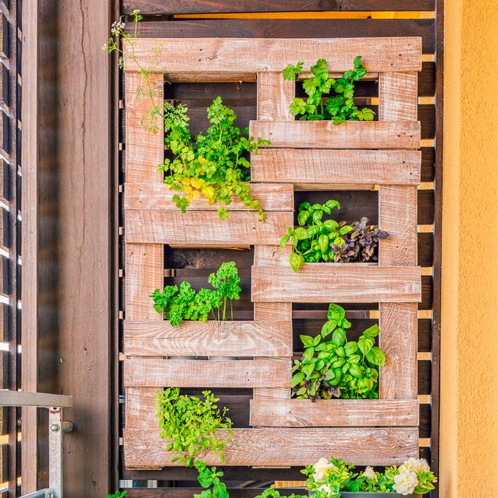 Awesome Diy Vertical Garden Ideas