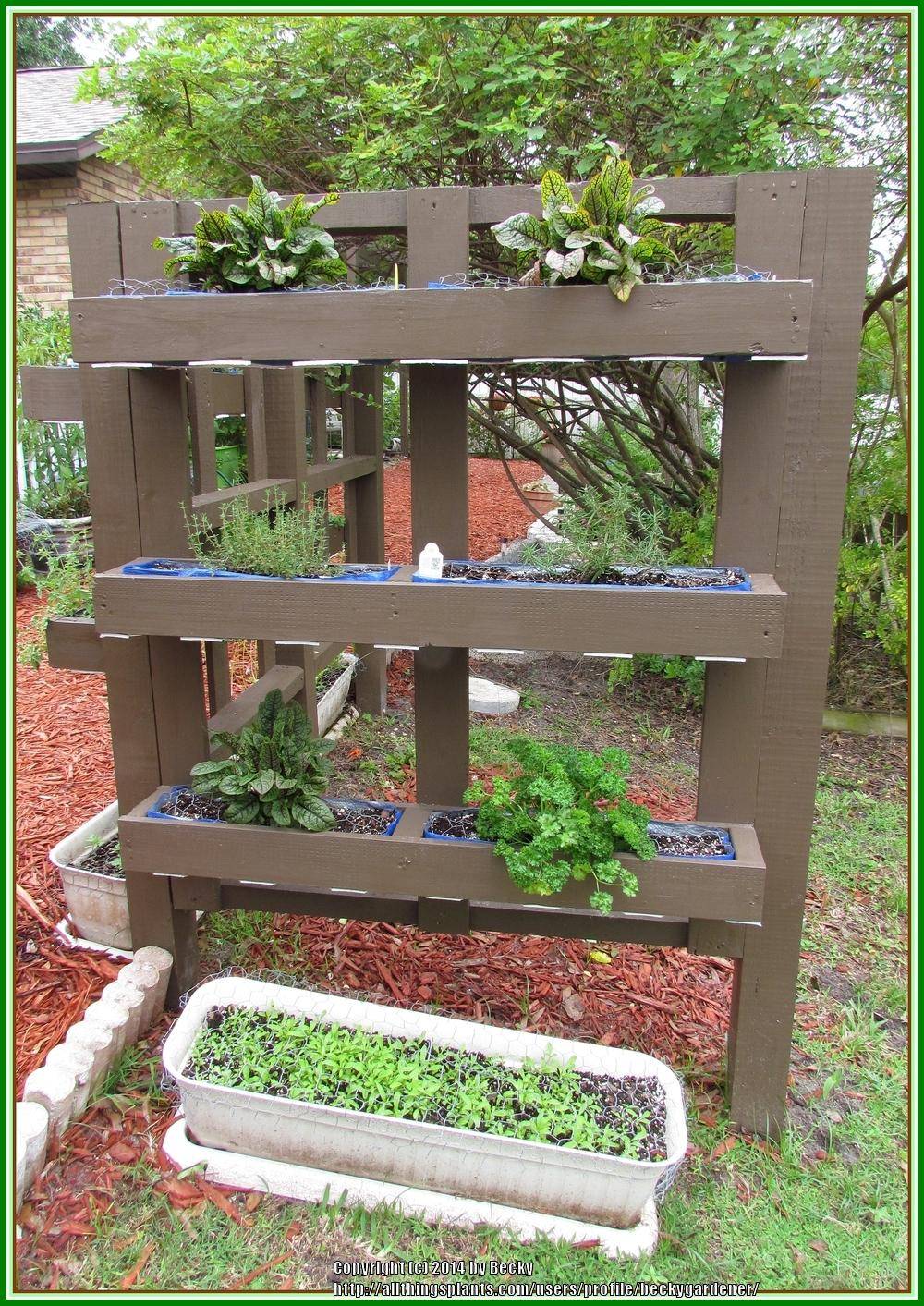 Creative Diy Herb Garden Ideas