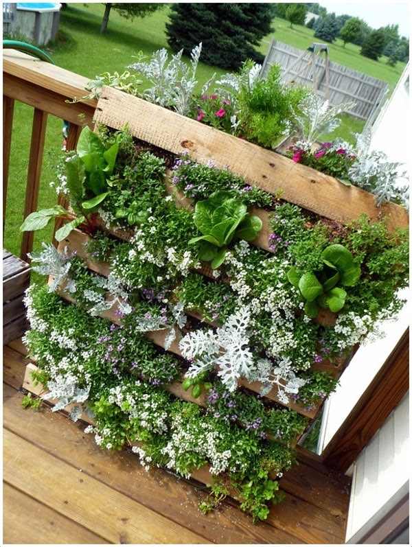 My Vertical Herb Garden