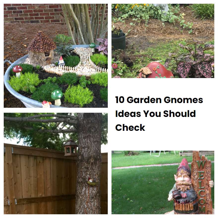 10 Garden Gnomes Ideas You Should Check