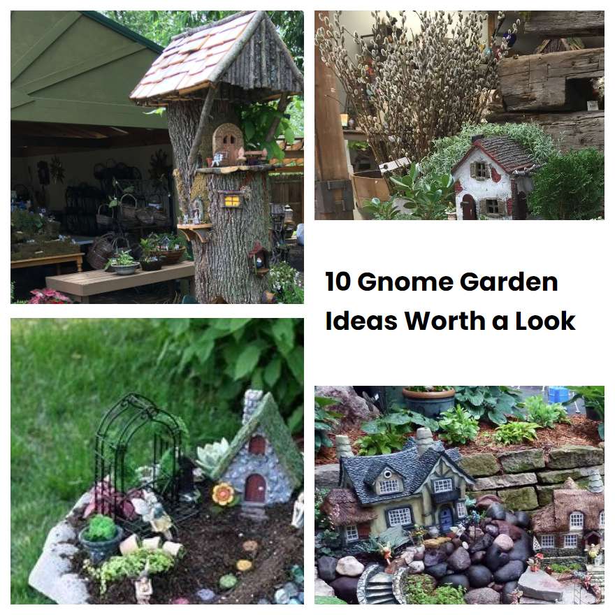 10 Gnome Garden Ideas Worth a Look