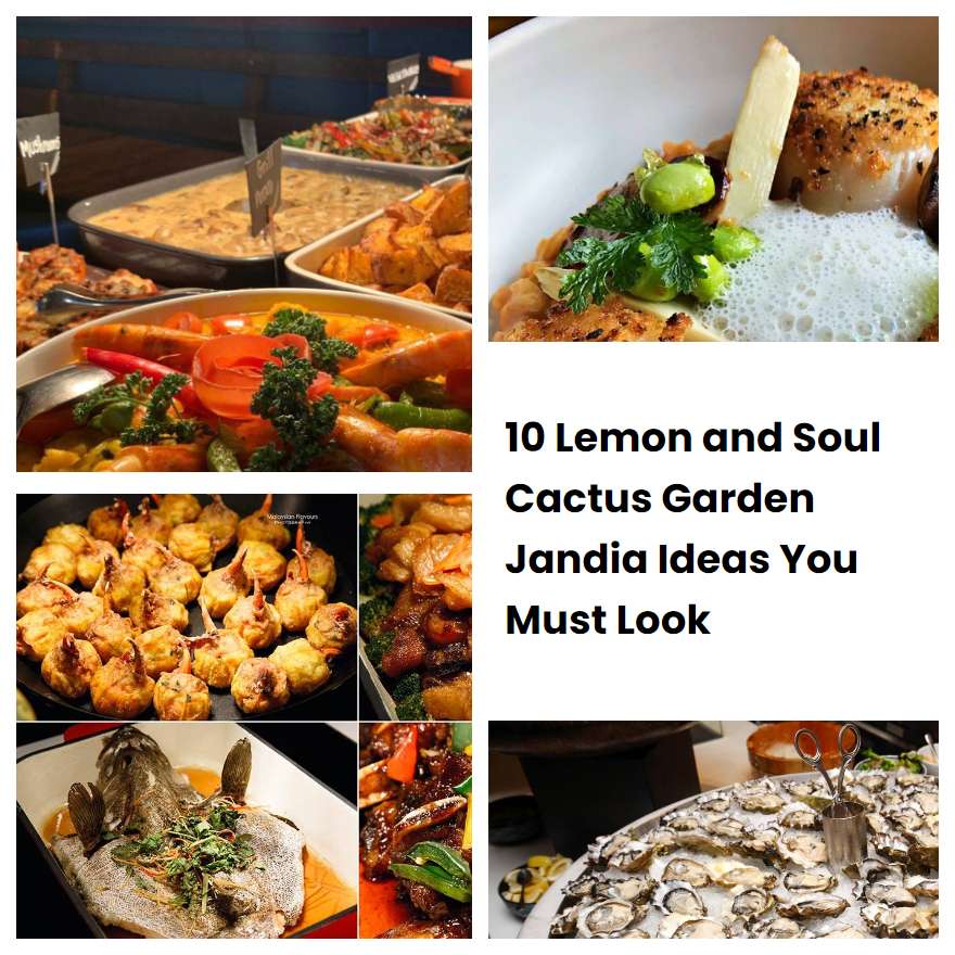 10 Lemon and Soul Cactus Garden Jandia Ideas You Must Look