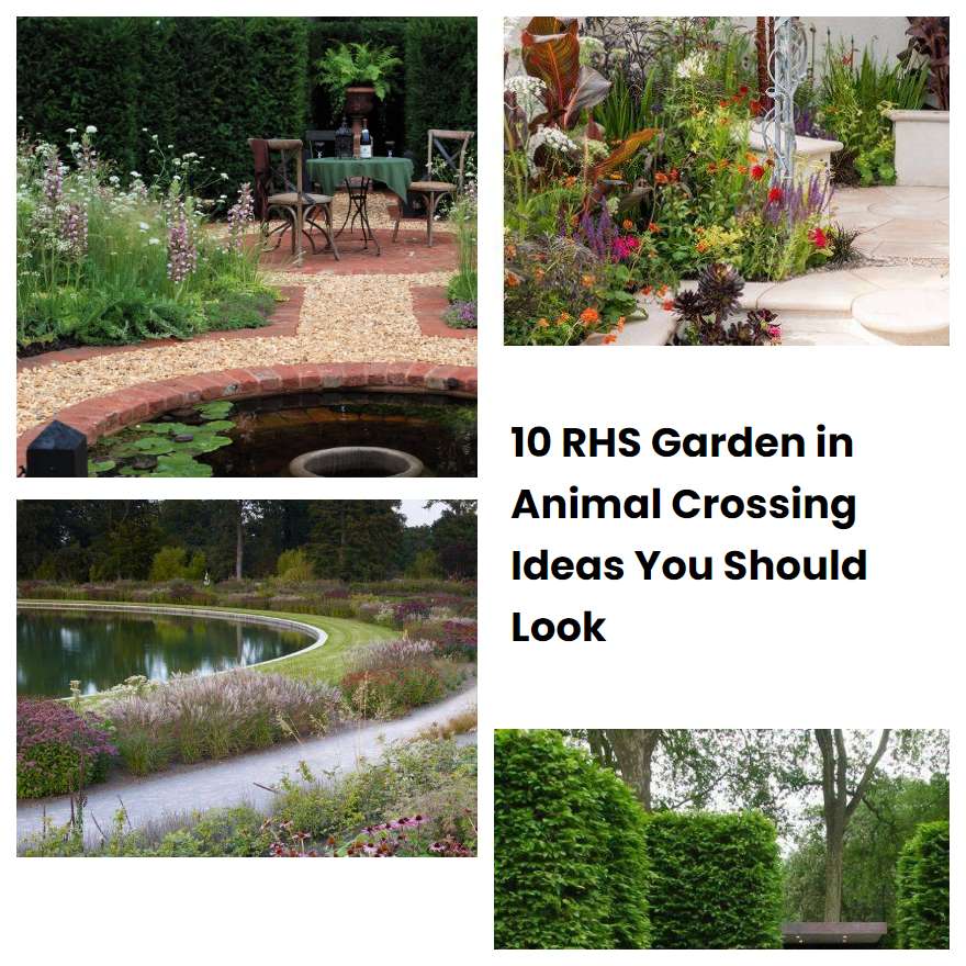 10 RHS Garden in Animal Crossing Ideas You Should Look