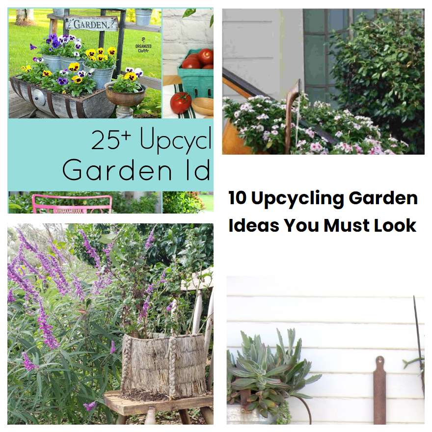 10 Upcycling Garden Ideas You Must Look