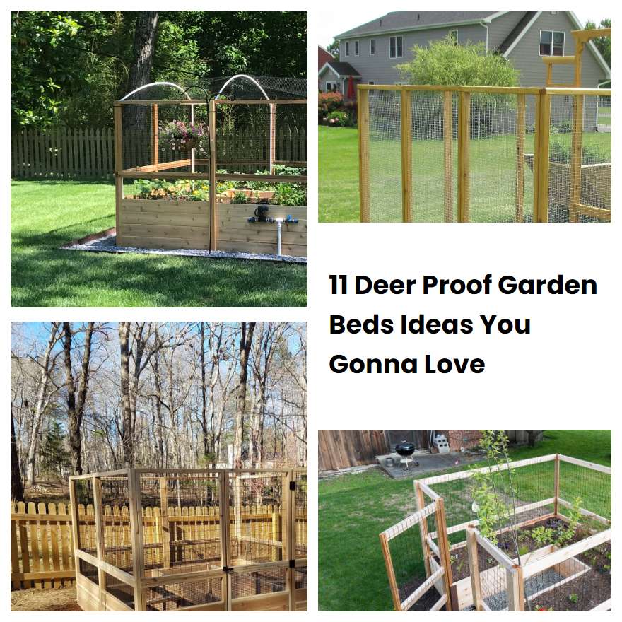 11 Deer Proof Garden Beds Ideas You Gonna Love