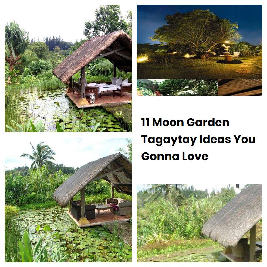 11 Moon Garden Tagaytay Ideas You Gonna Love