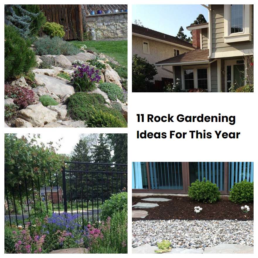 11 Rock Gardening Ideas For This Year