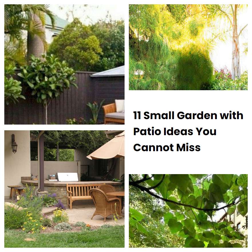 11 Small Garden with Patio Ideas You Cannot Miss SharonSable