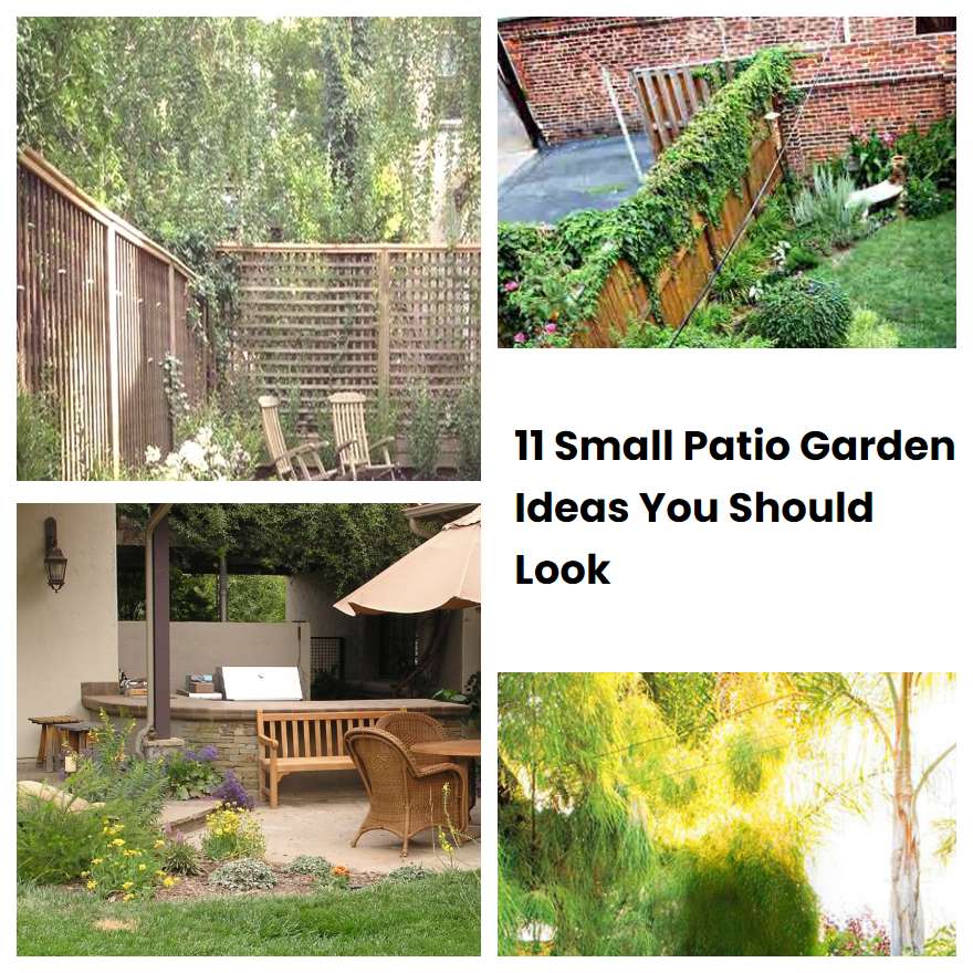 11 Small Patio Garden Ideas You Should Look