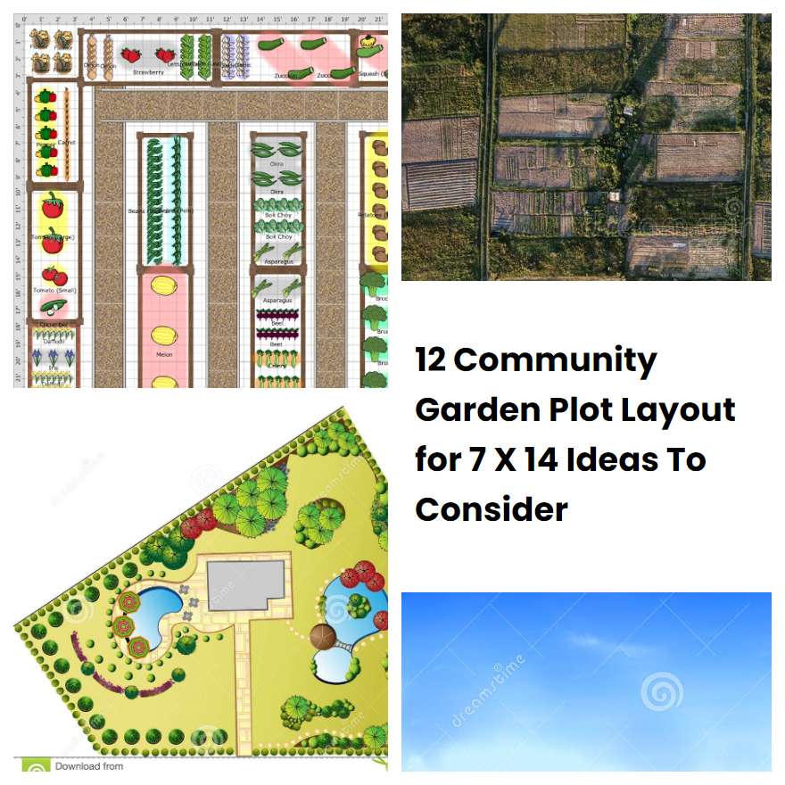 12 Community Garden Plot Layout for 7 X 14 Ideas To Consider SharonSable