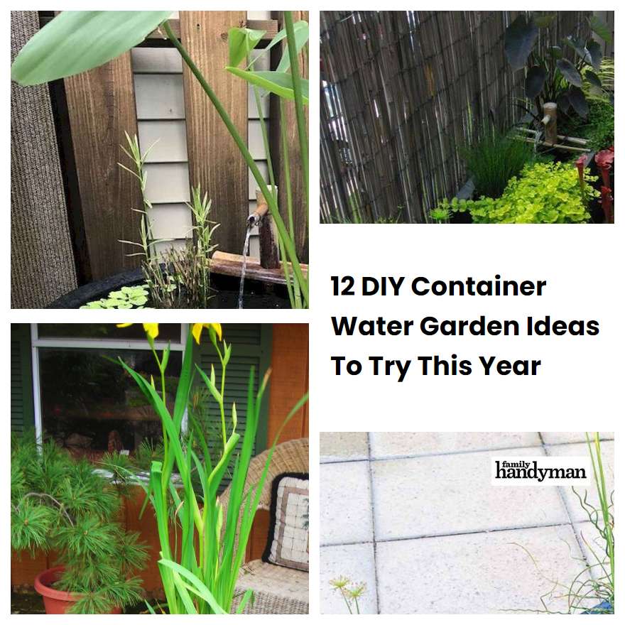 12 DIY Container Water Garden Ideas To Try This Year SharonSable