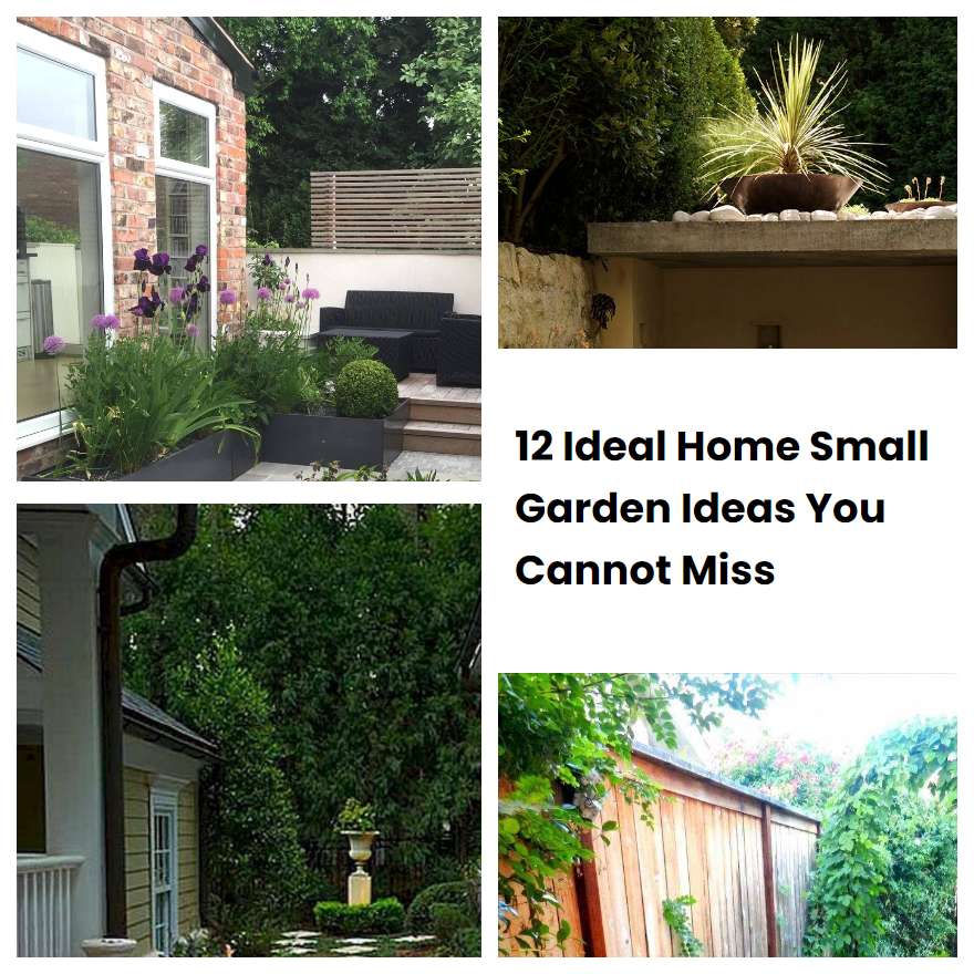 12 Ideal Home Small Garden Ideas You Cannot Miss