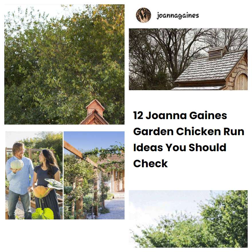 12 Joanna Gaines Garden Chicken Run Ideas You Should Check