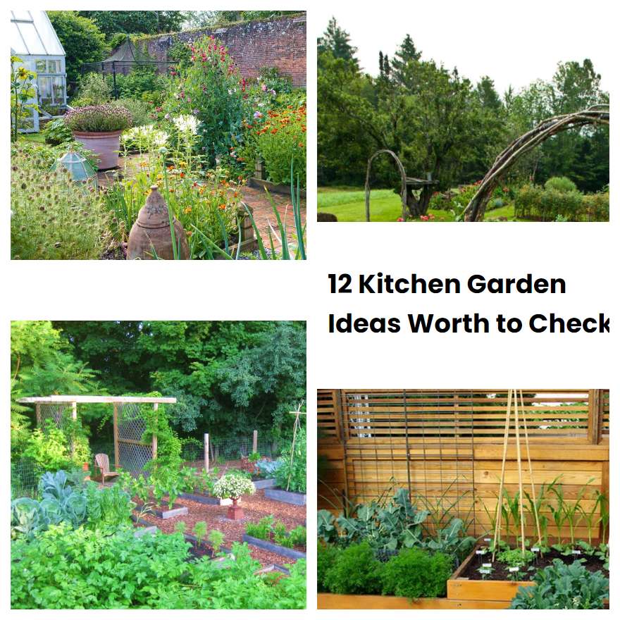 12 Kitchen Garden Ideas Worth to Check SharonSable