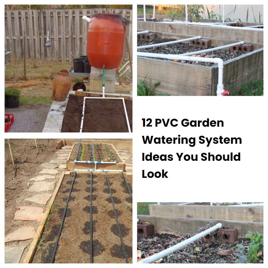 12 PVC Garden Watering System Ideas You Should Look SharonSable