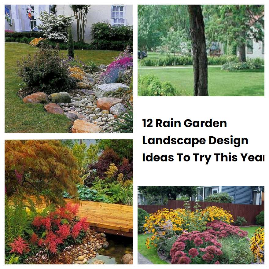 12 Rain Garden Landscape Design Ideas To Try This Year