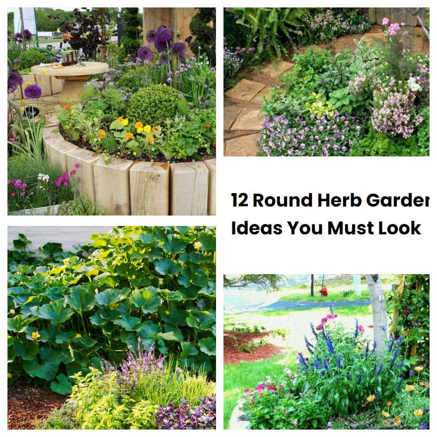 12 Round Herb Garden Ideas You Must Look SharonSable