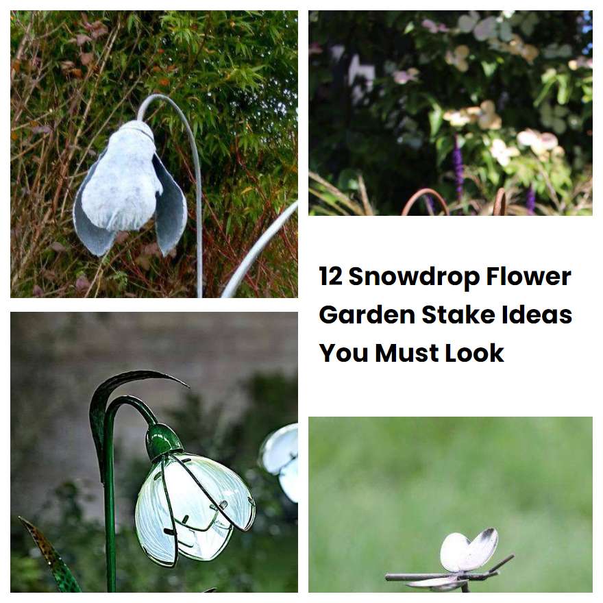 12 Snowdrop Flower Garden Stake Ideas You Must Look