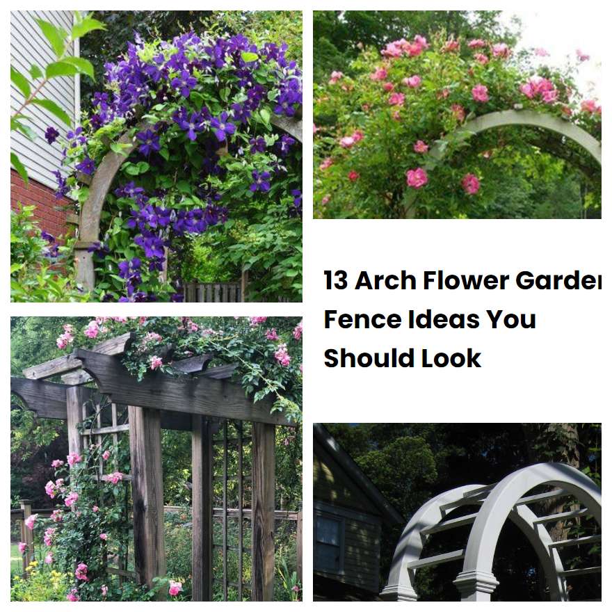 13 Arch Flower Garden Fence Ideas You Should Look