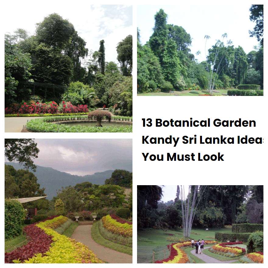 13 Botanical Garden Kandy Sri Lanka Ideas You Must Look