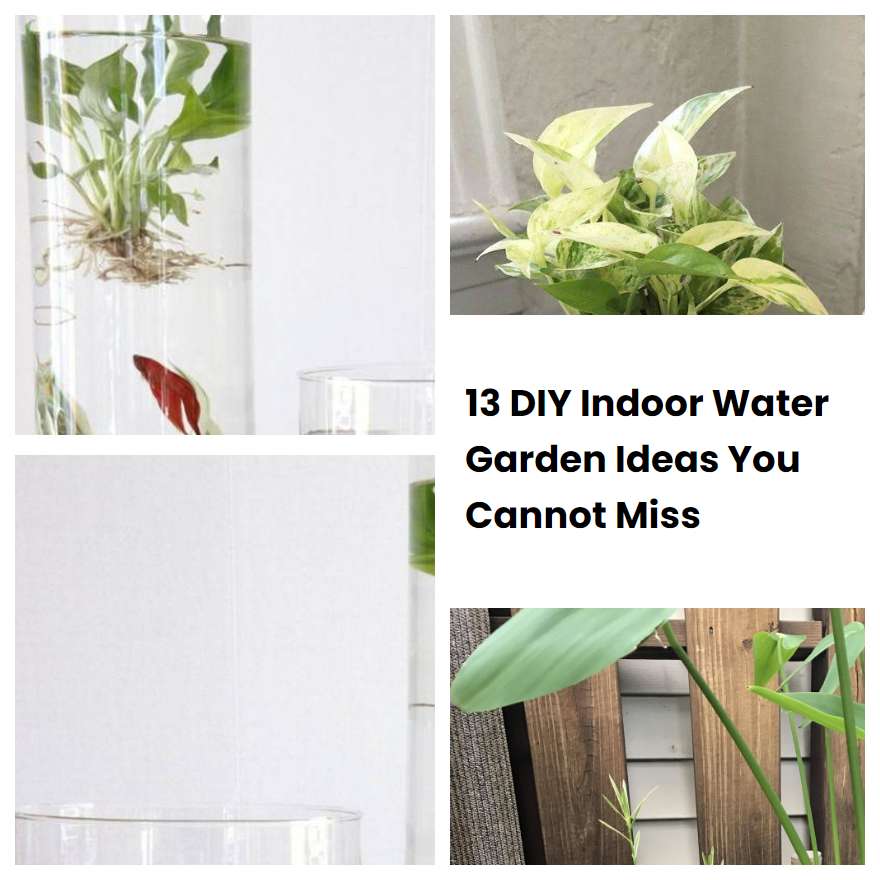 13 DIY Indoor Water Garden Ideas You Cannot Miss