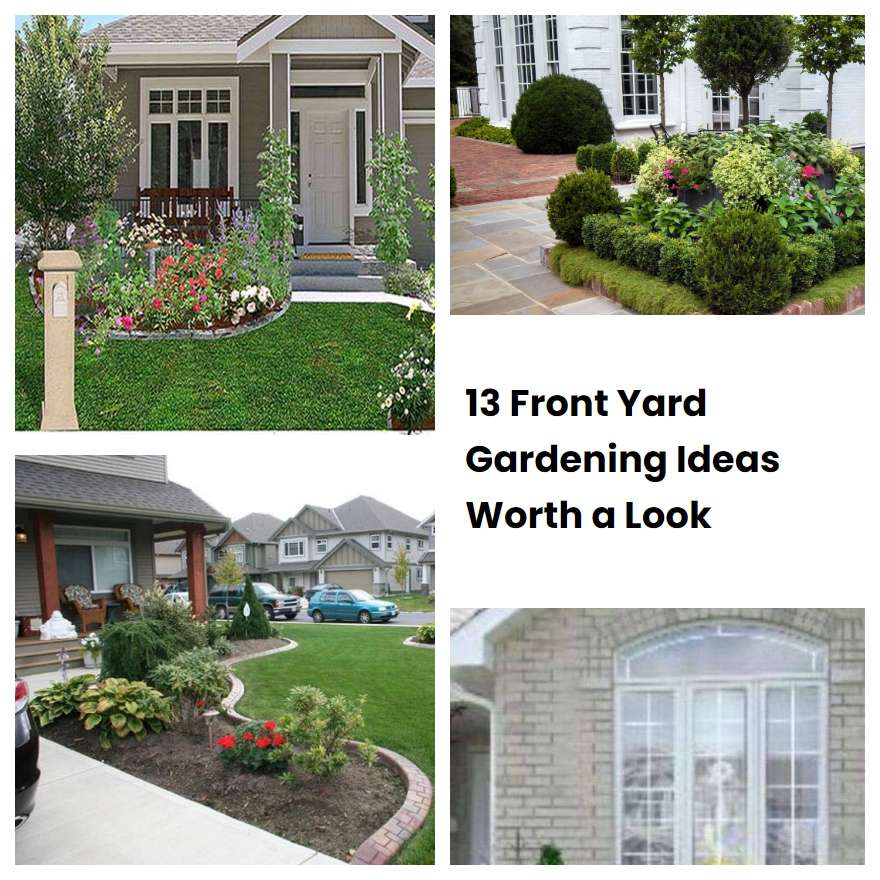 13 Front Yard Gardening Ideas Worth a Look SharonSable