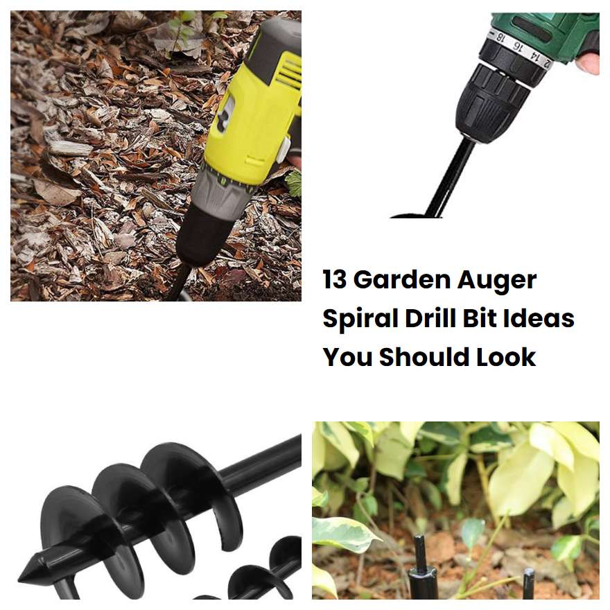 13 Garden Auger Spiral Drill Bit Ideas You Should Look