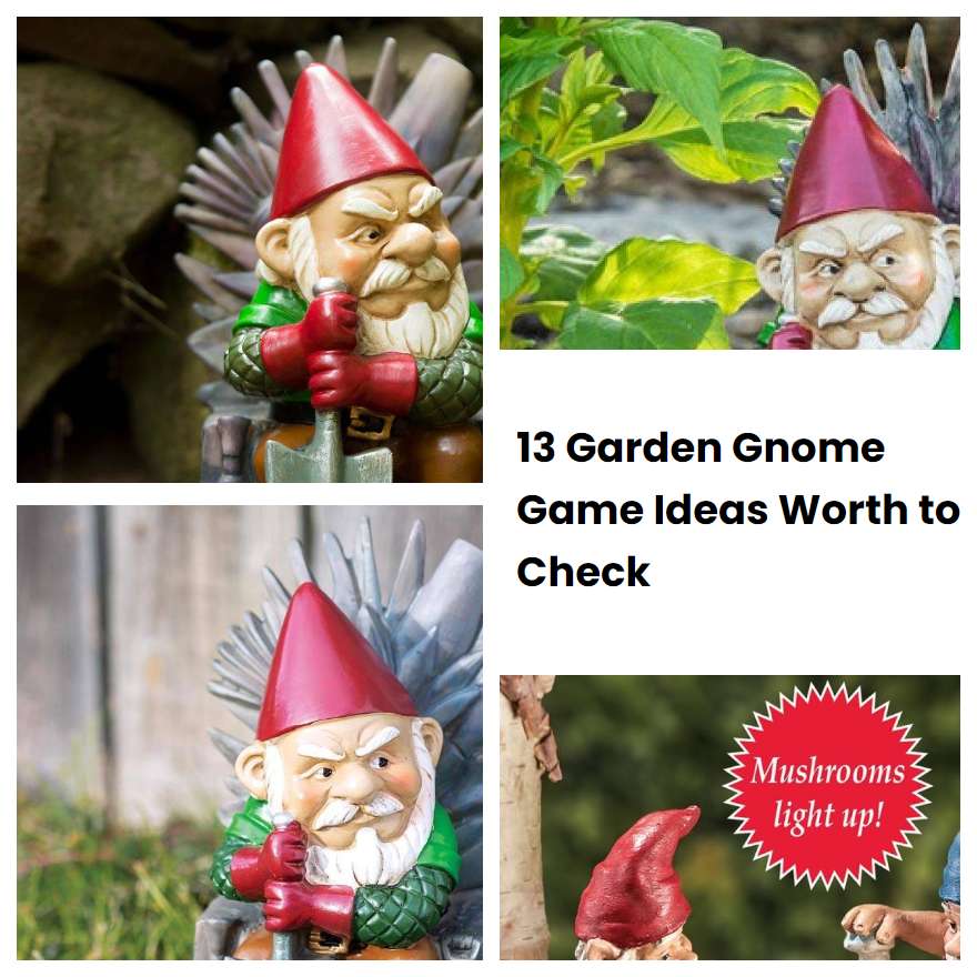 13 Garden Gnome Game Ideas Worth to Check SharonSable