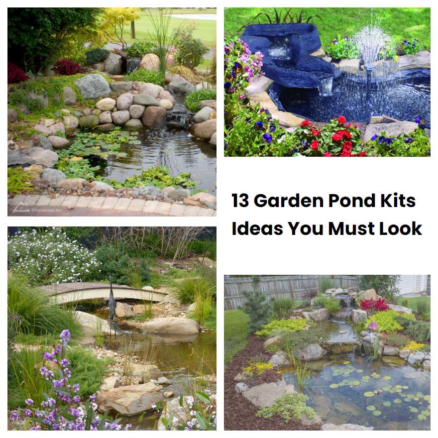 13 Garden Pond Kits Ideas You Must Look SharonSable