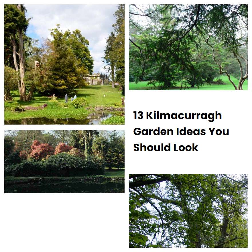 13 Kilmacurragh Garden Ideas You Should Look