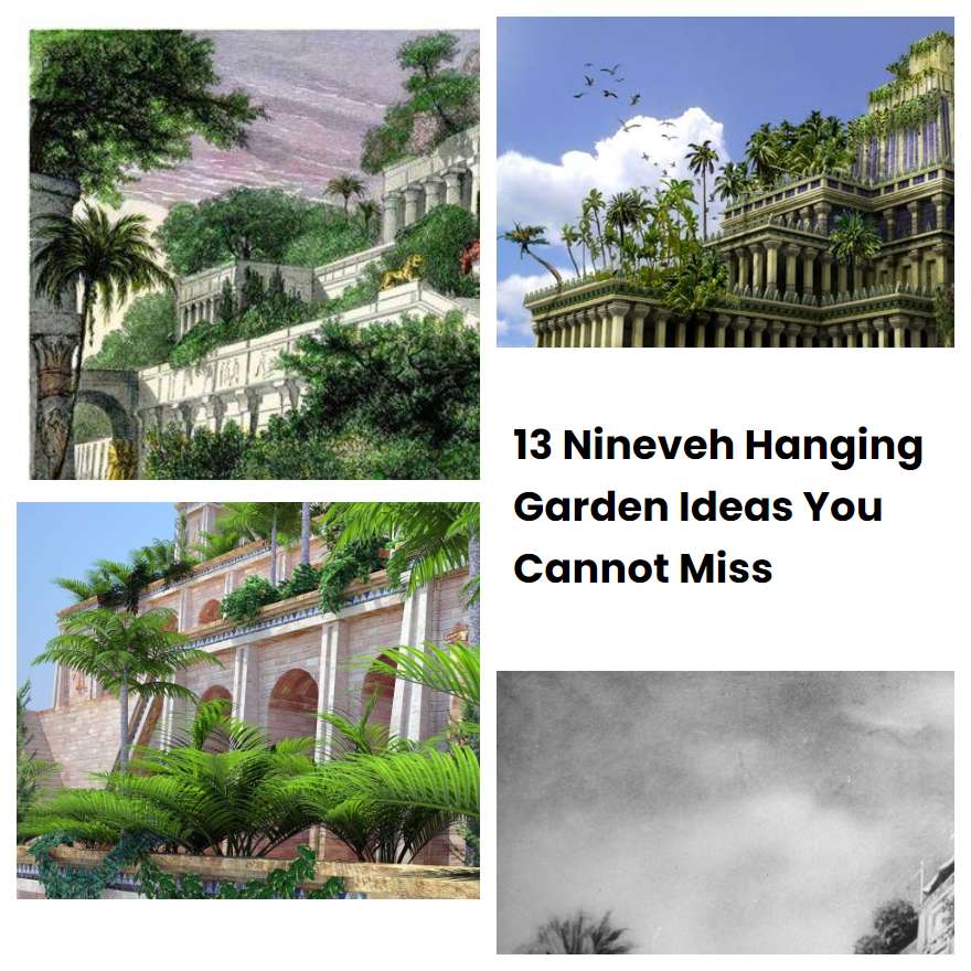 13 Nineveh Hanging Garden Ideas You Cannot Miss SharonSable
