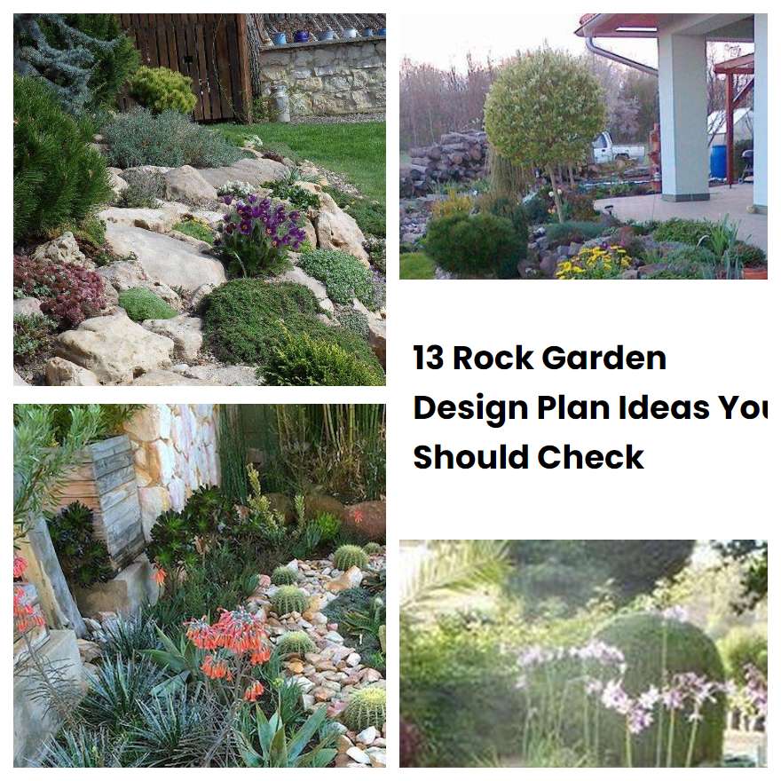 13 Rock Garden Design Plan Ideas You Should Check