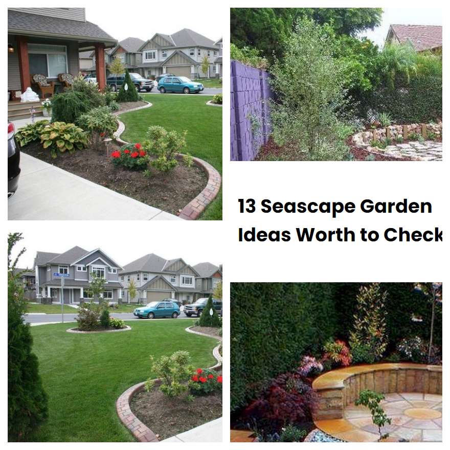 13 Seascape Garden Ideas Worth to Check