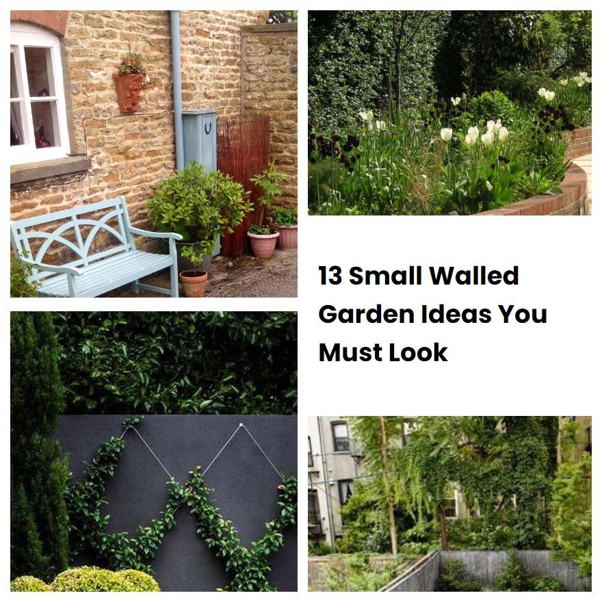 13 Small Walled Garden Ideas You Must Look