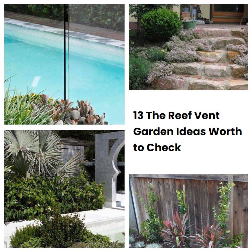 13 The Reef Vent Garden Ideas Worth to Check